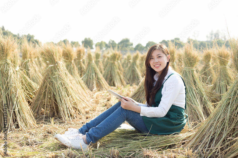 yound asian woman in golden cereal field