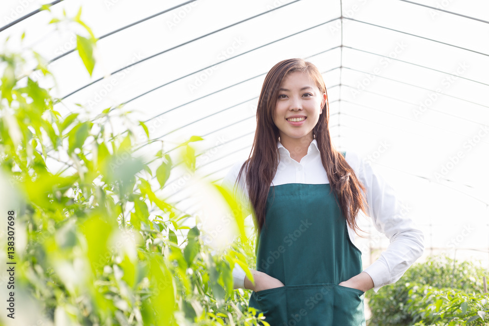 在温室工作的年轻亚洲女性