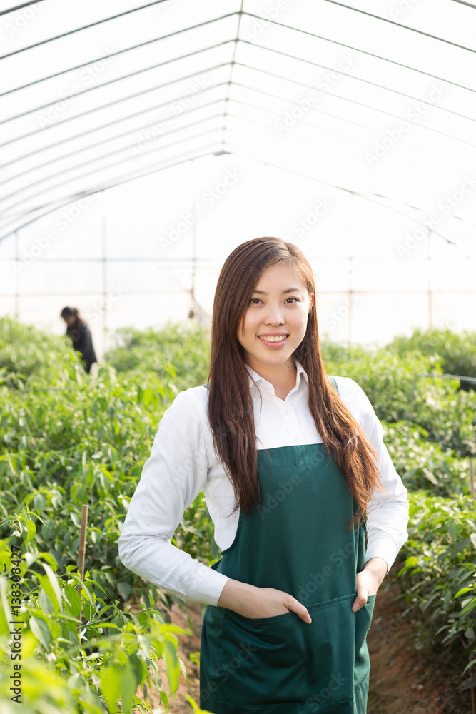 young asian woman working in green house