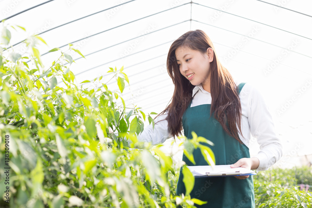 young asian woman working in green house