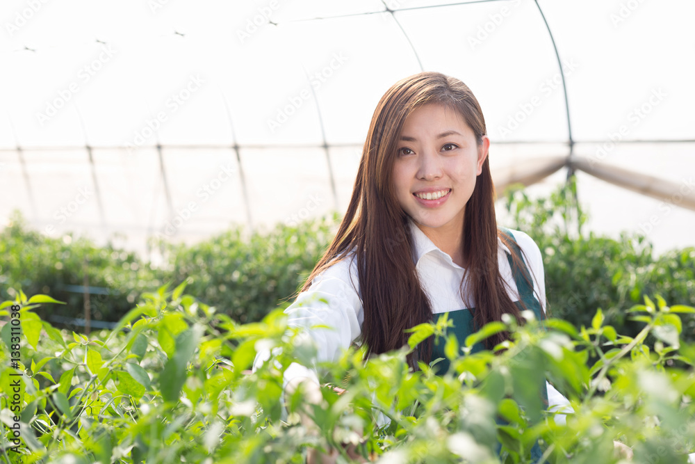 在温室工作的年轻亚洲女性