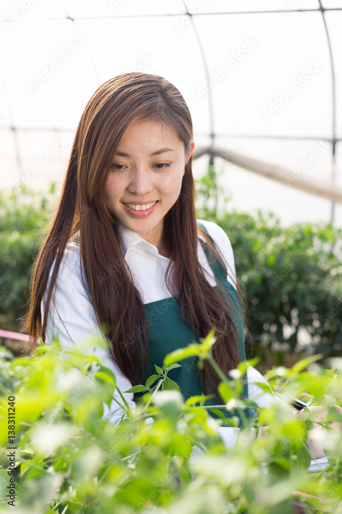 在绿屋工作的亚洲年轻女性