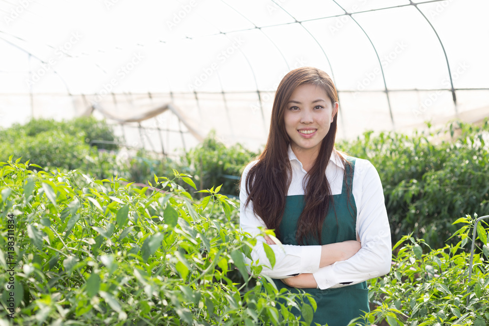 young asian woman working in green house