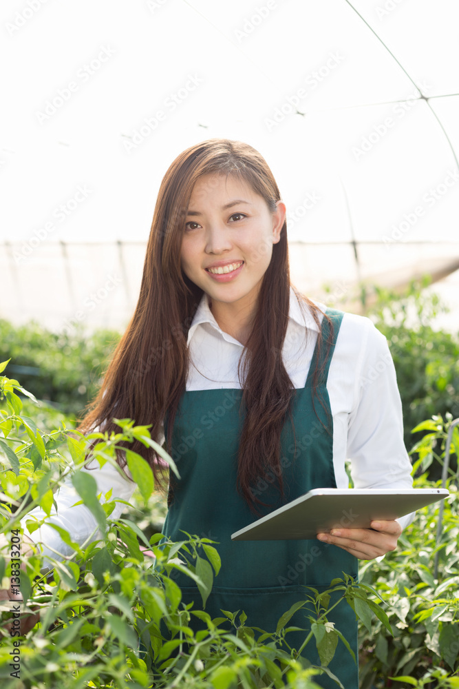 young asian woman working in green house