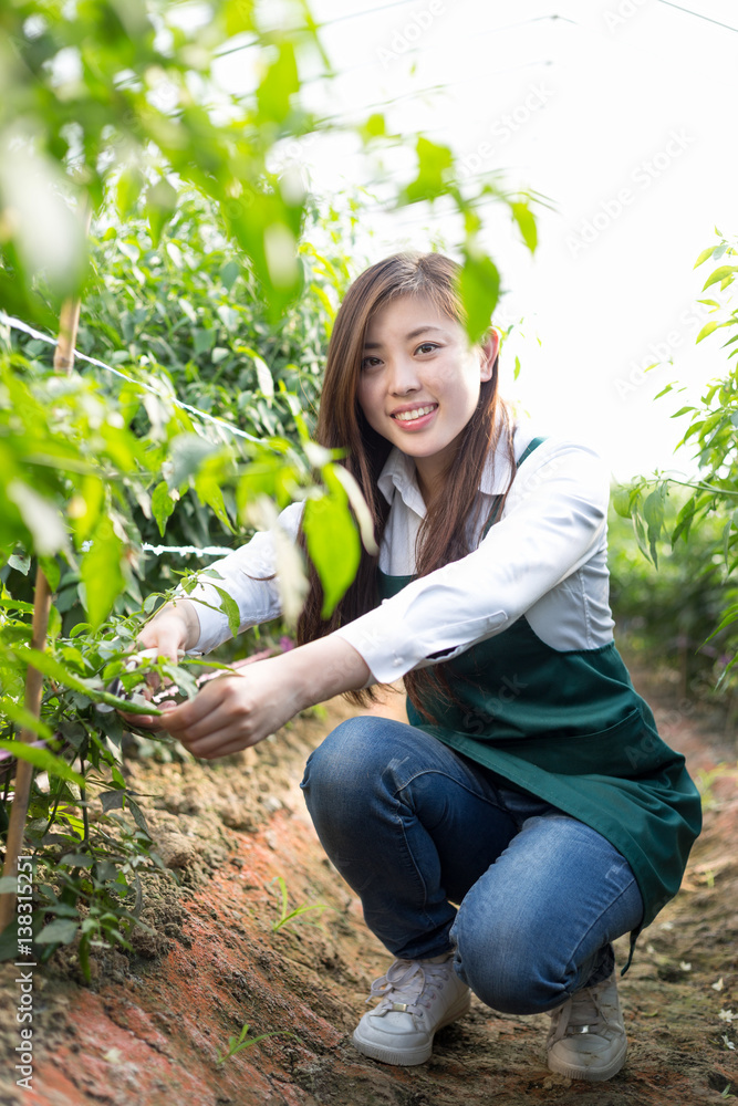 在温室工作的亚洲年轻女性