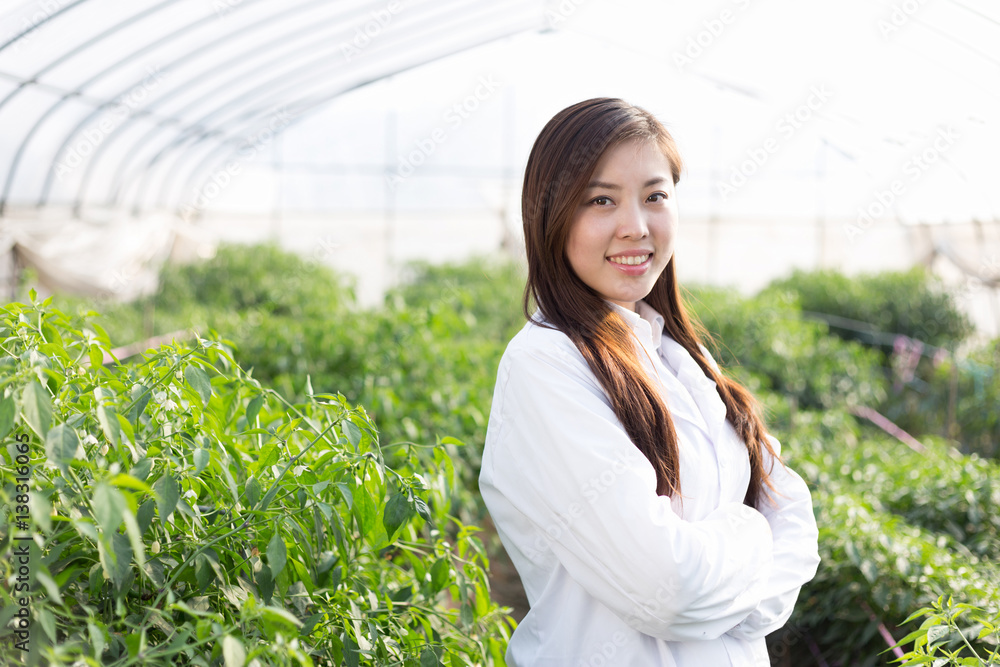 在绿屋工作的年轻亚洲女性