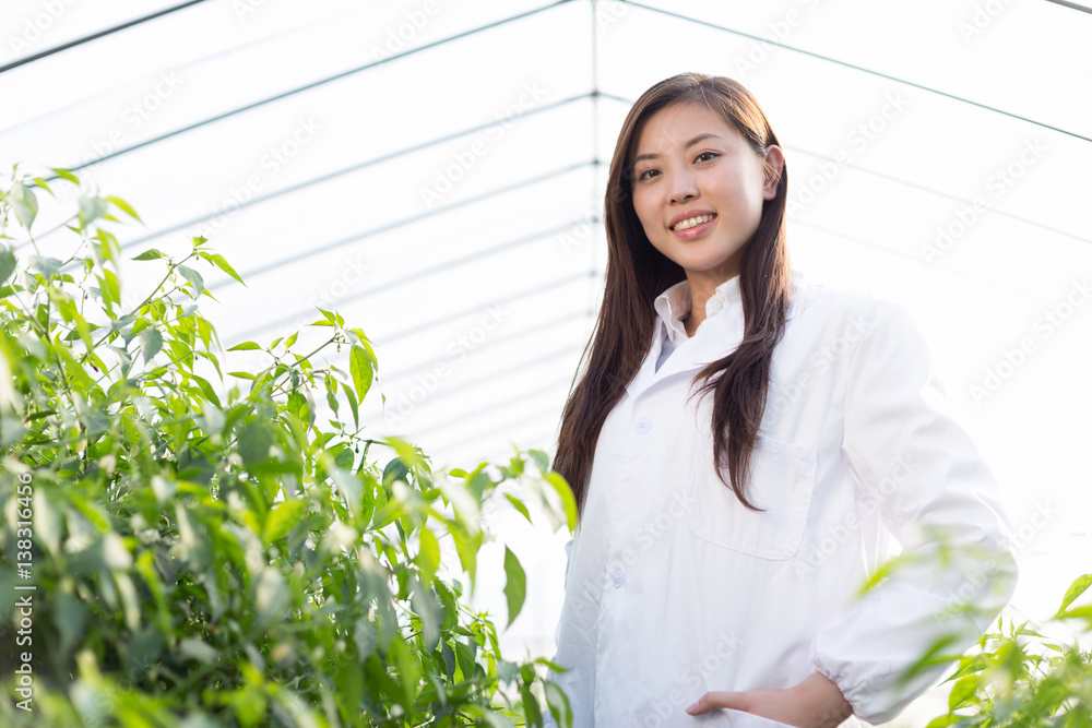 young asian woman working in green house