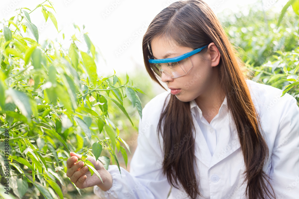 young asian woman working in green house