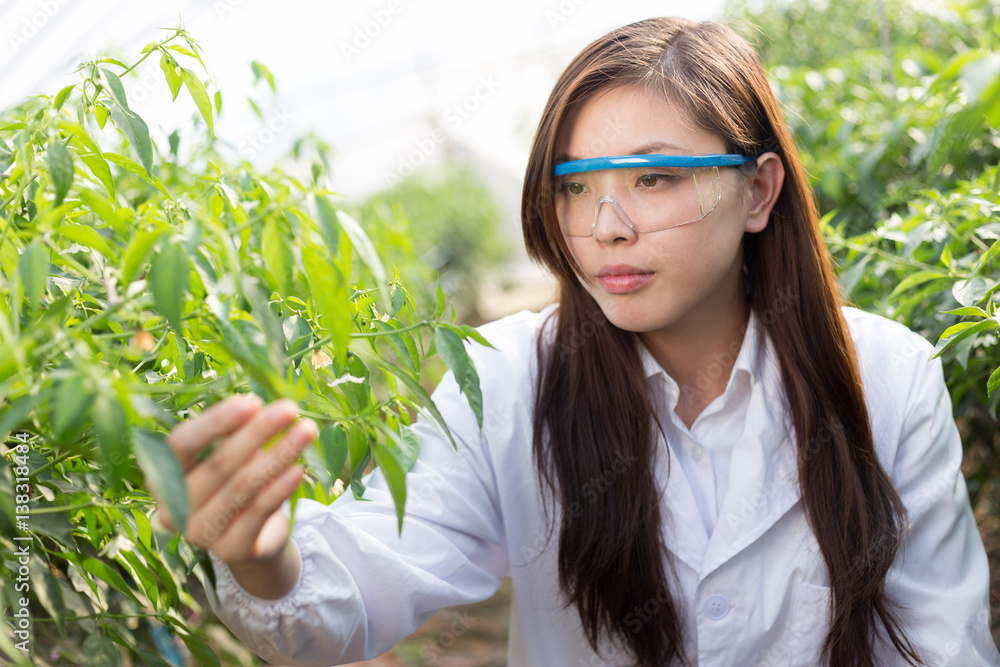 young asian woman working in green house