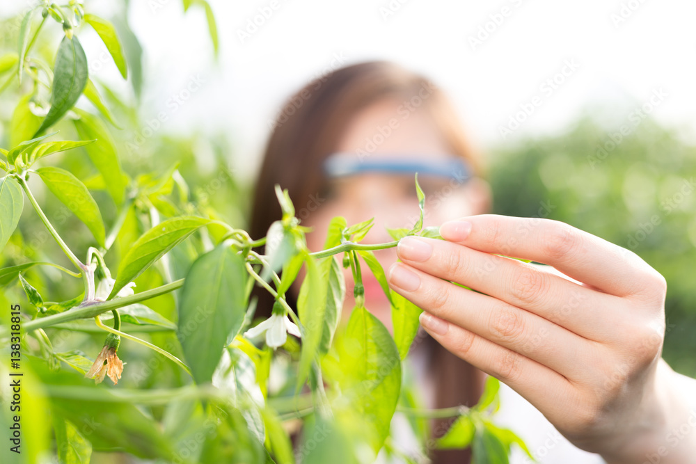 young asian woman working in green house