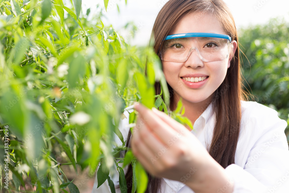 young asian woman working in green house