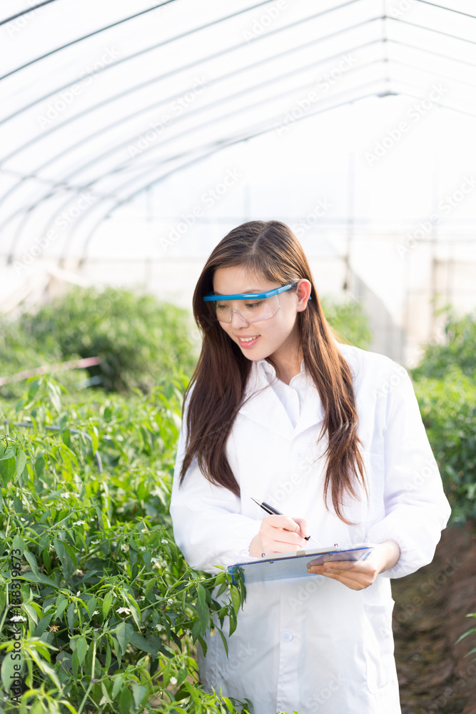 young asian woman working in green house