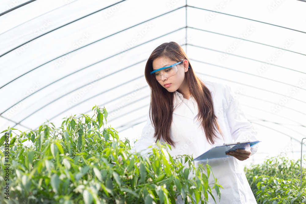 young asian woman working in green house