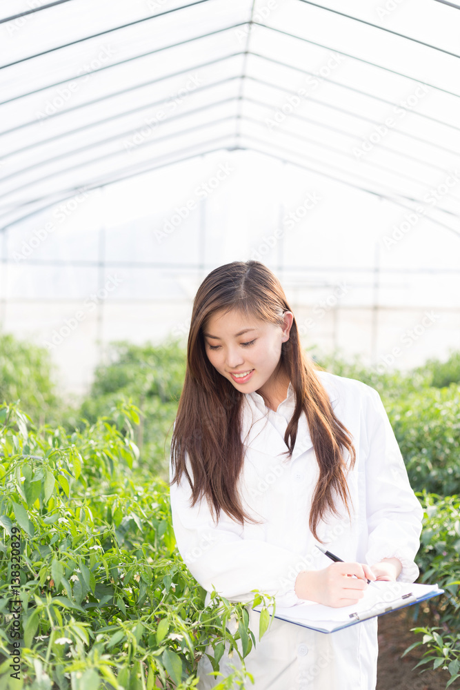 young asian woman working in green house