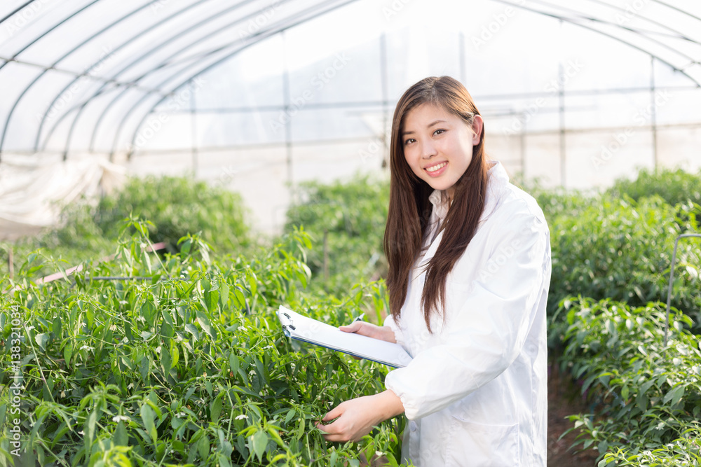 young asian woman working in green house