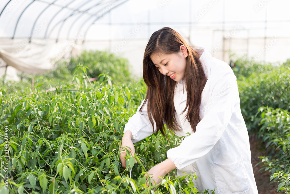 在温室工作的年轻亚洲女性