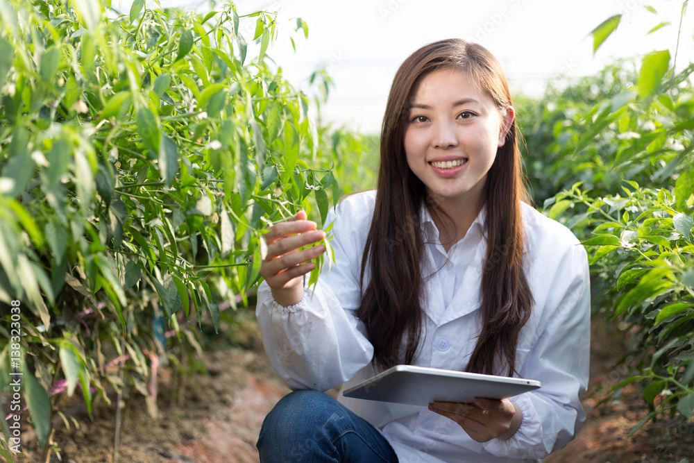 young asian woman working in green house