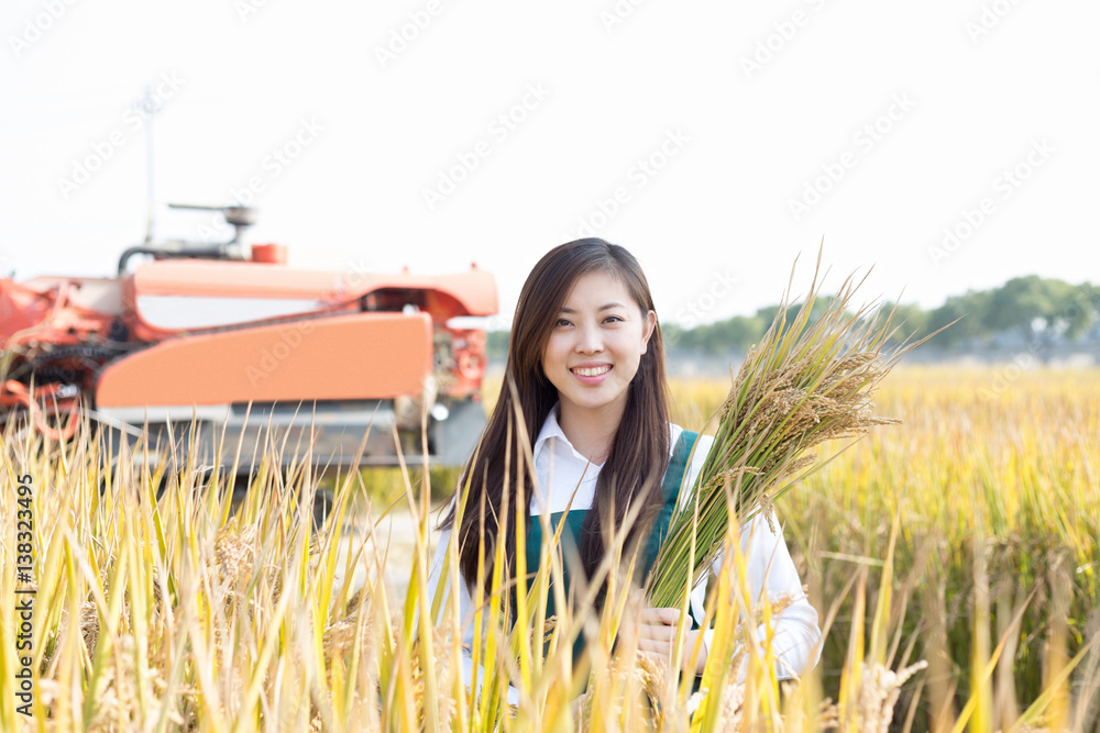 young asian woman in golden cereal field