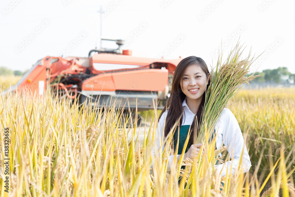 young asian woman in golden cereal field