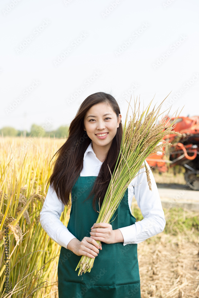 young asian woman in golden cereal field