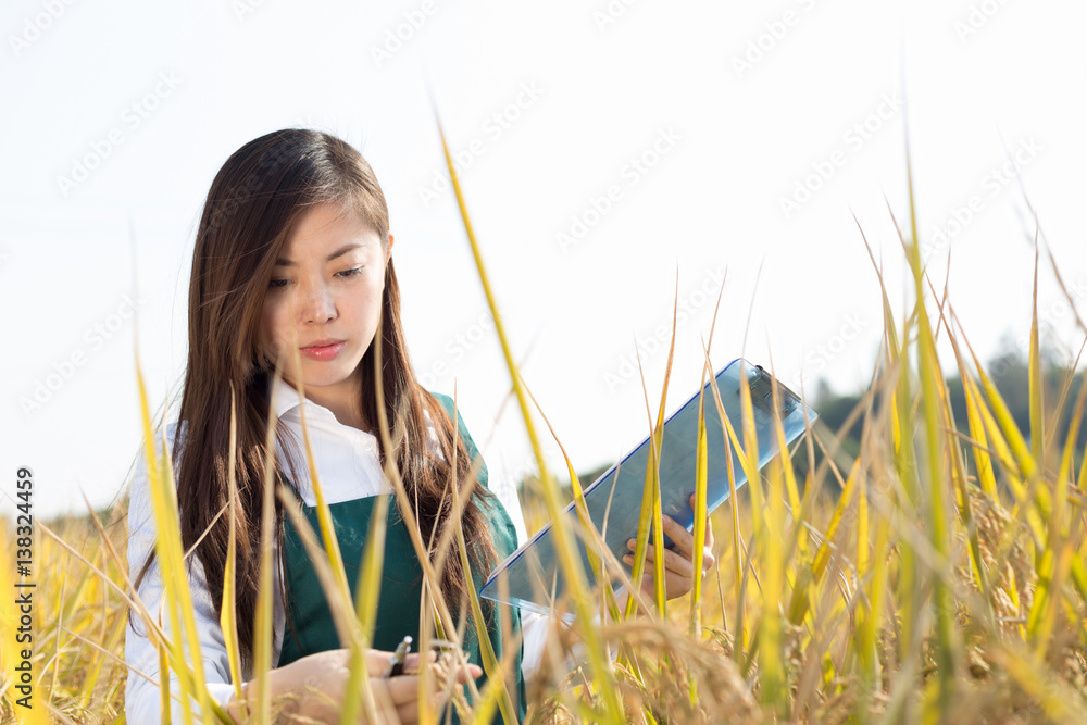 young asian woman in golden cereal field