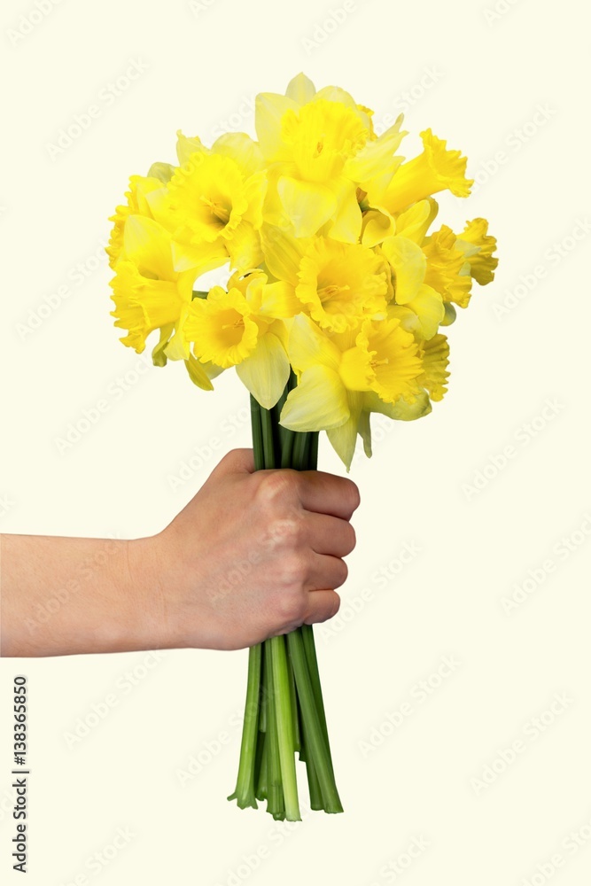 Daffodil.