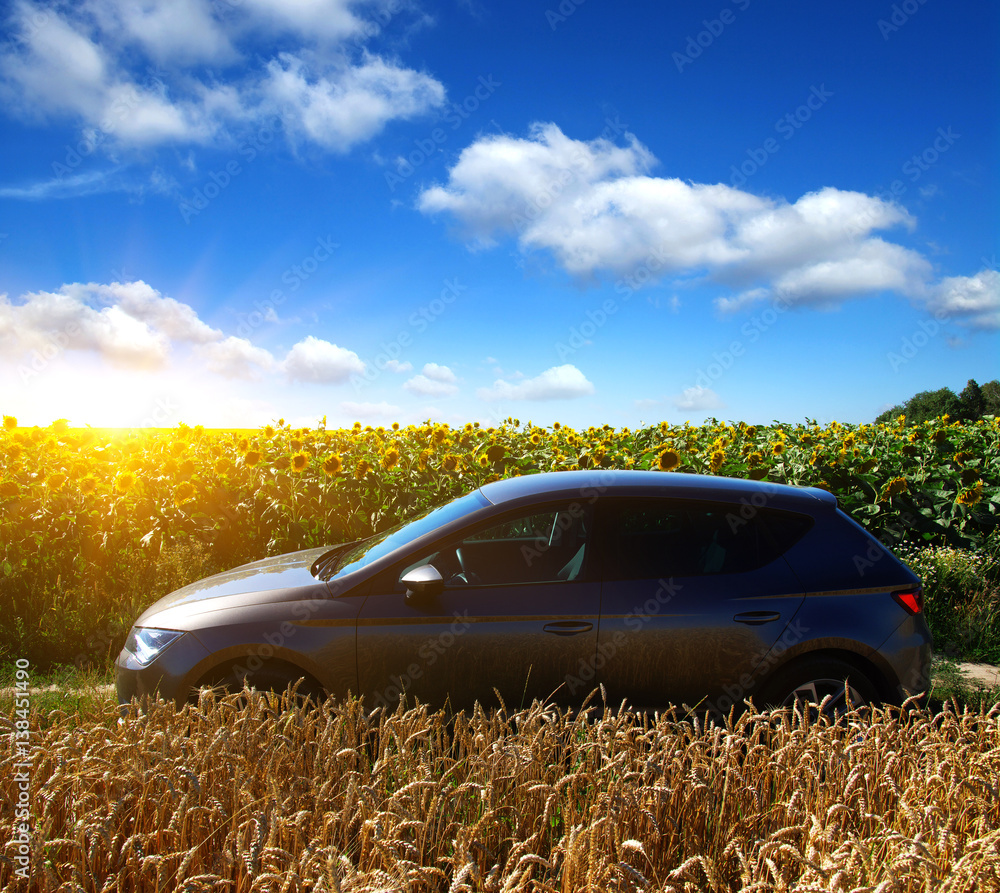 car on a field