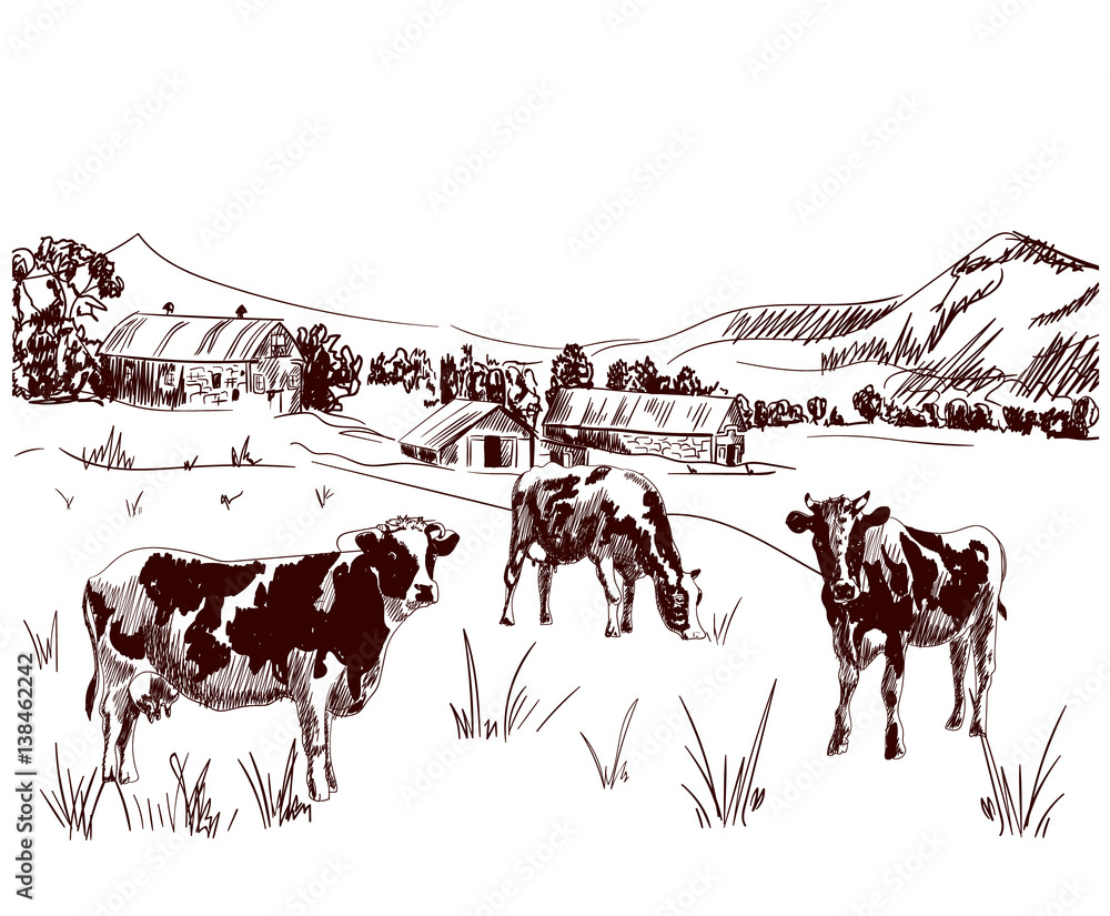 Hand drawn VECTOR illustration: cows grazing on a farm