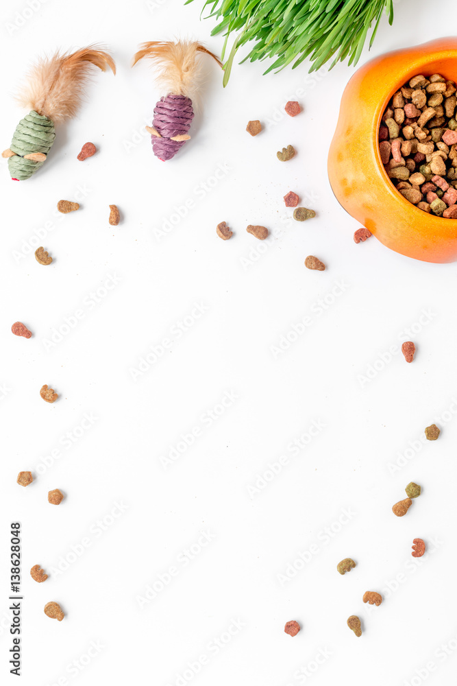 dry cat food in bowl on white background top view