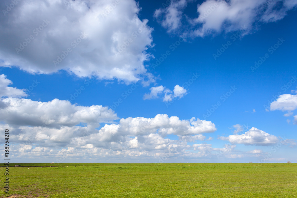 Beautiful landscape with green grass field and bright blue sky with clouds at sunset in spring. Colo