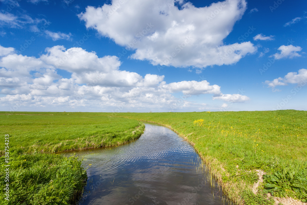 Beautiful landscape with green grass field, pond and bright blue sky with clouds reflected in water 