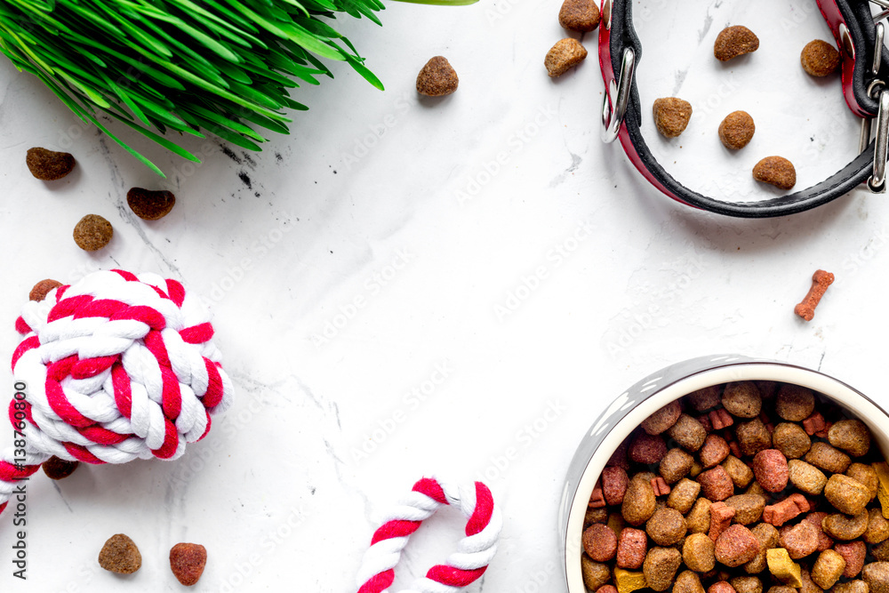 dry dog food in bowl on stone background top view