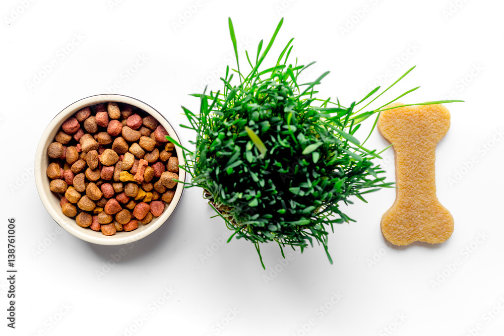 dry dog food in bowl on white background top view