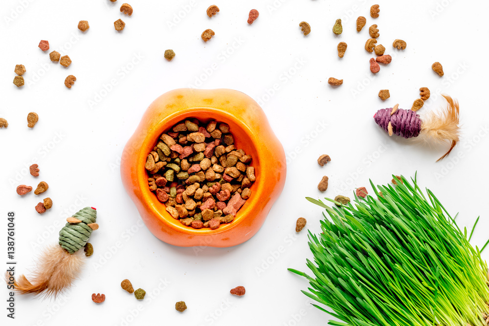 dry cat food in bowl on white background top view