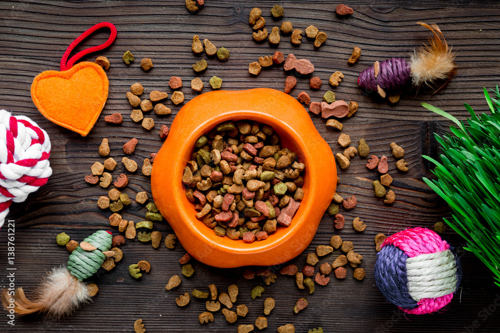 dry cat food in bowl on wooden background top view