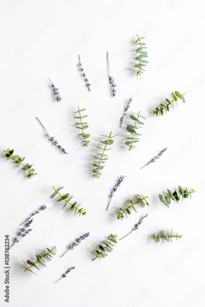 lavander and eucalyptus pattern on white background top view