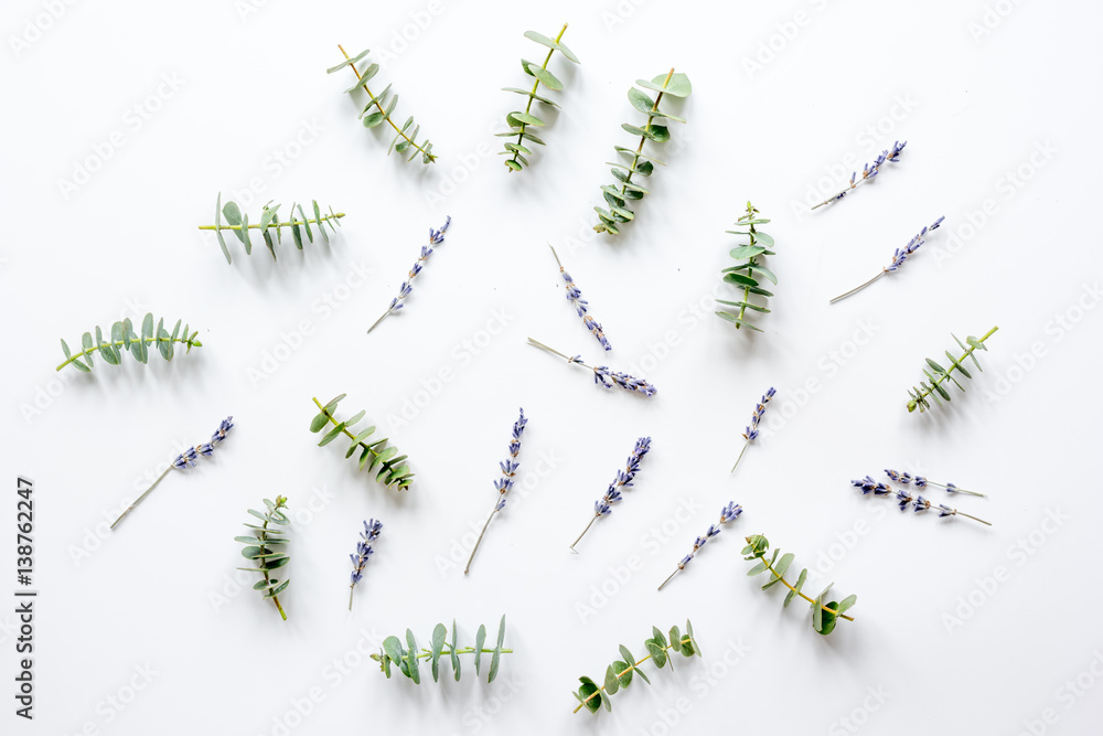 Floral pattern with lavander and eucalyptus on white background top view