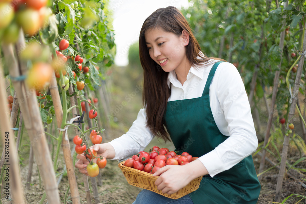 young beautiful asian woman works in green field