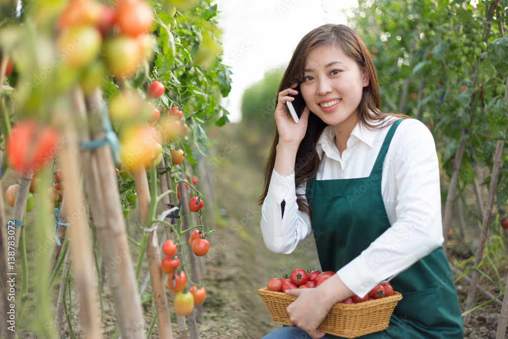 young beautiful asian woman works in green field