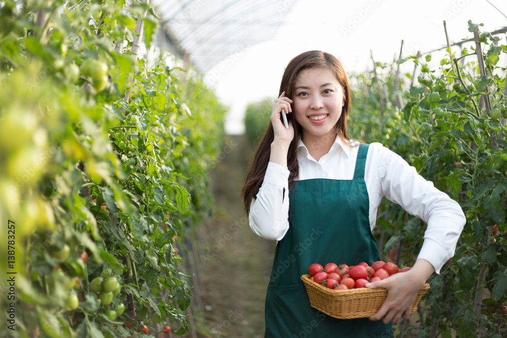 young beautiful asian woman works in green field