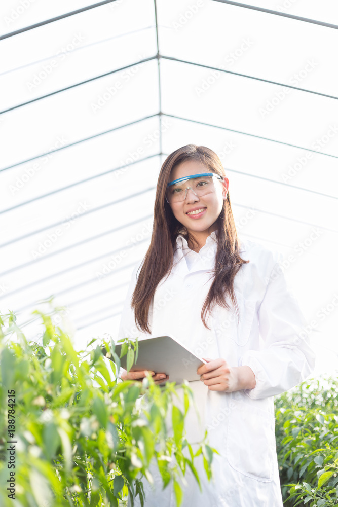 young beautiful asian woman works in green field