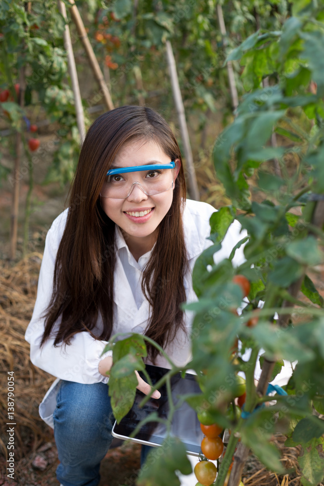 young beautiful asian woman works in green field