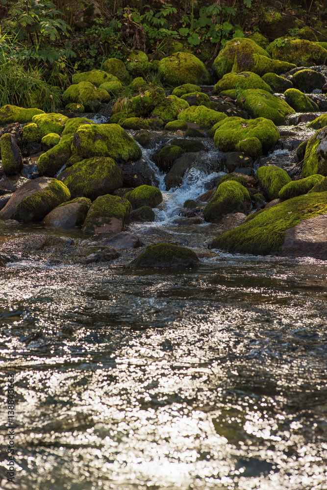 Fast mountain river in Altay