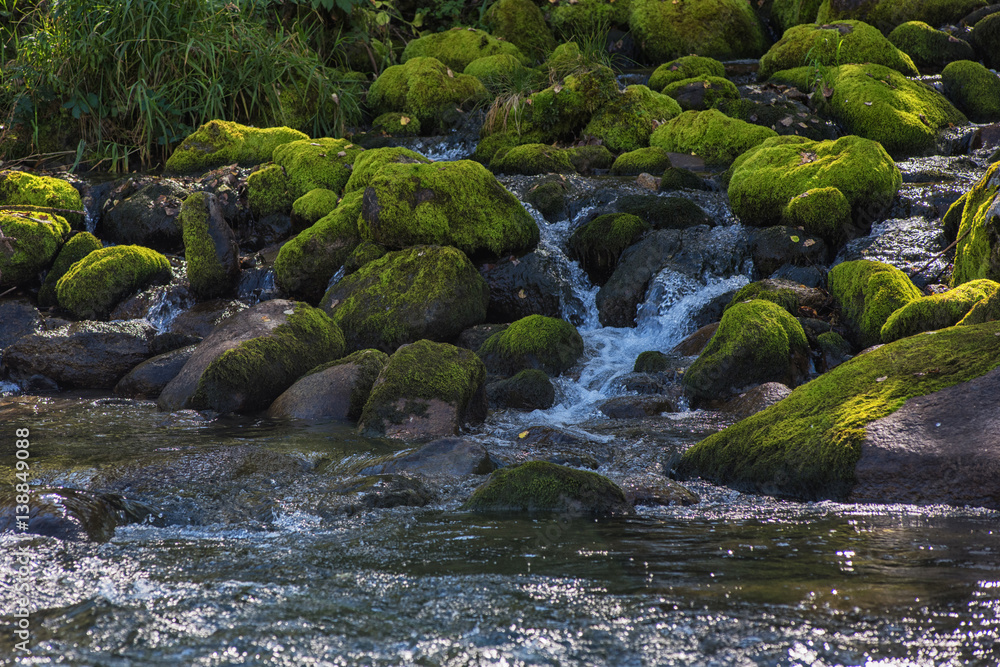 Fast mountain river in Altay