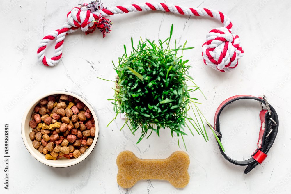 dry dog food in bowl on stone background top view