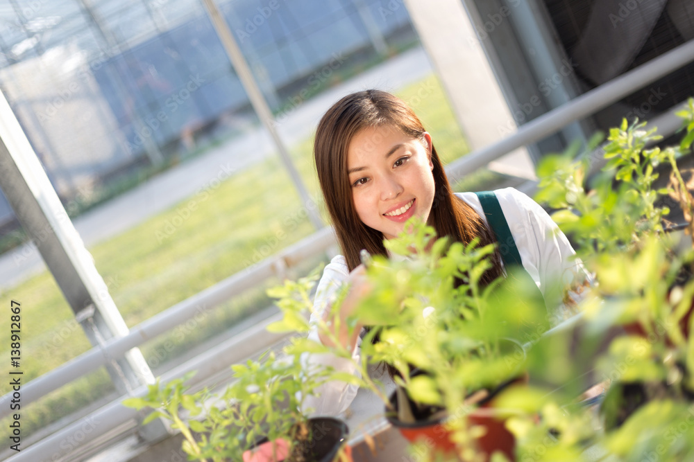 young asian woman works in green house