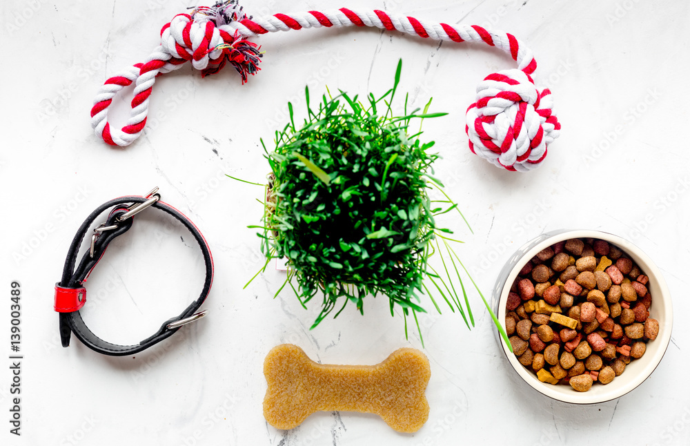 dry dog food in bowl on stone background top view