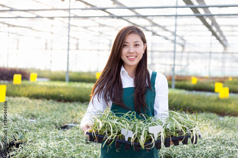 young asian woman works in green house