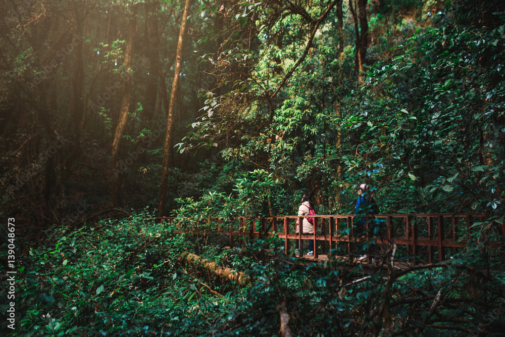 Tourist walking on a wooden bridge above the tropical jungle