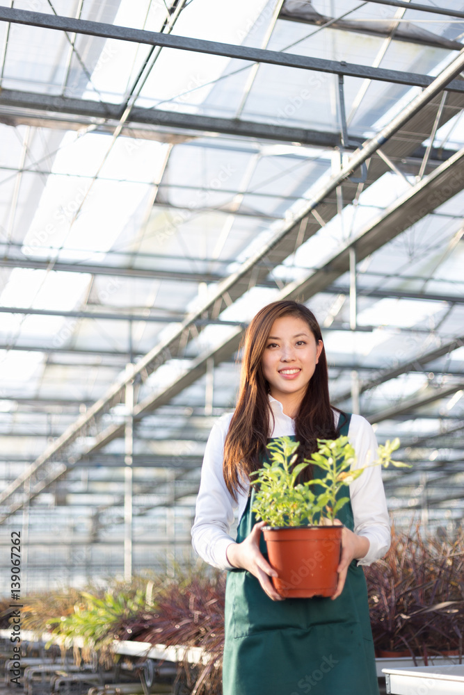 young asian woman works in green house